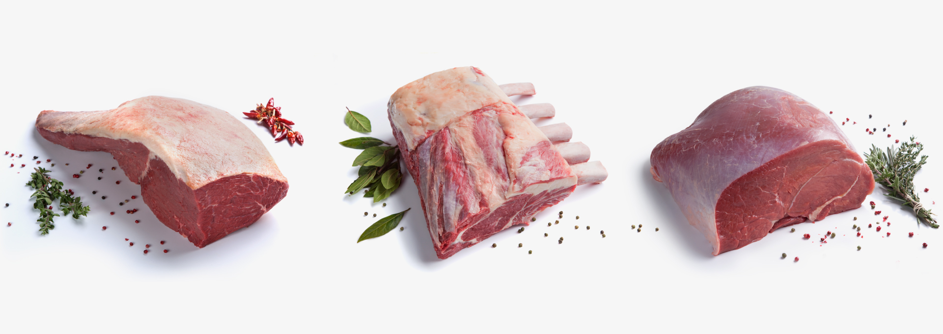 Cialta_InsArtboard 1-100