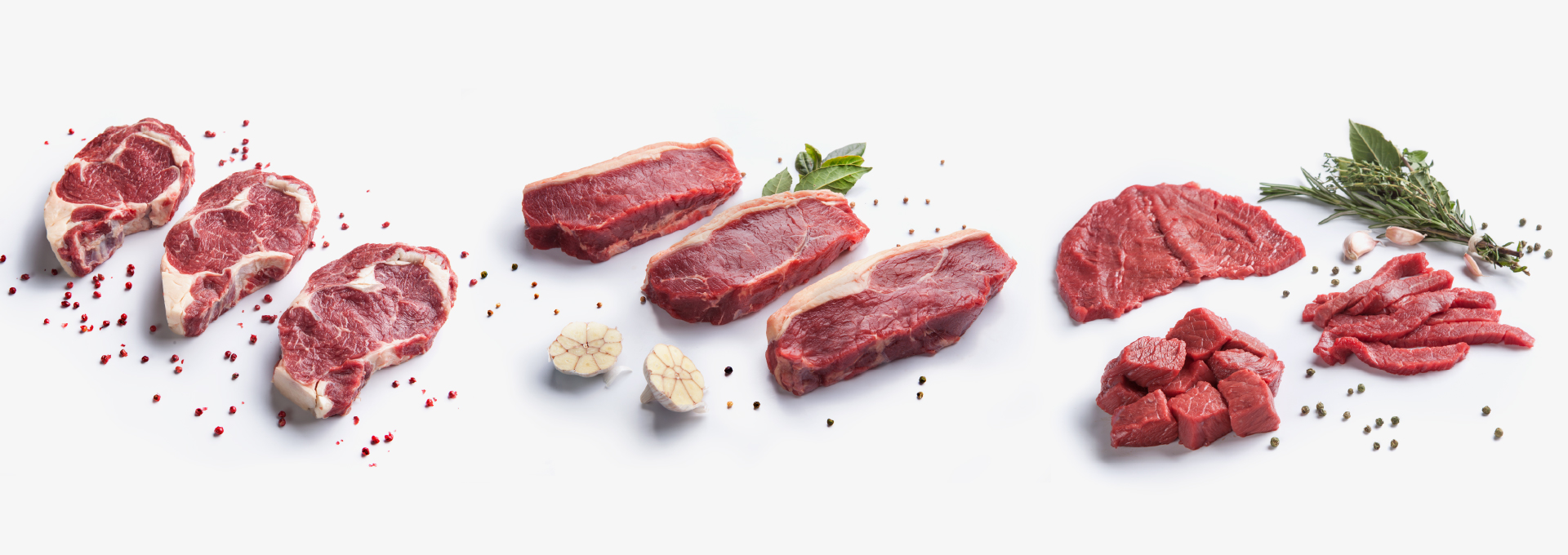 Cialta_InsArtboard 2-100