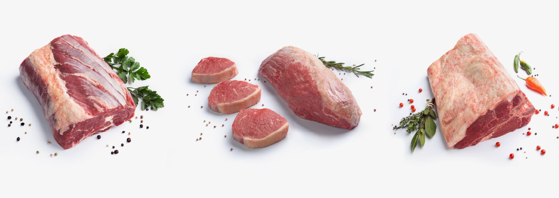 Cialta_InsArtboard 3-100