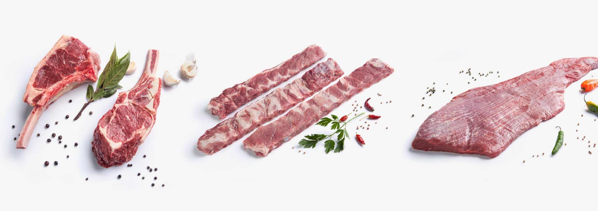 Cialta_InsArtboard 4-100